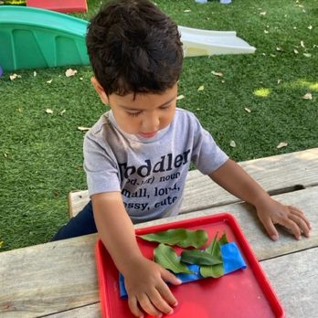 Little Treehouse Academy - Preschools Near Me - Northridge, California Little Treehouse Academy - Preschools Near Me - Northridge, California