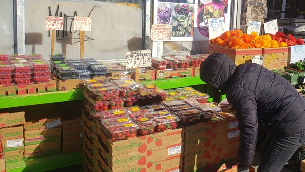 Bloor Fruit Market by null