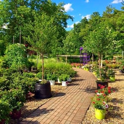 Spillane's Nursery