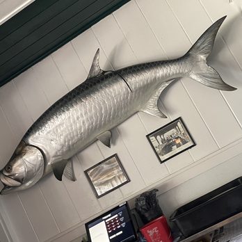 Cabbage Key - Hellloooo Tarpon fish - Coffee & Tea Near Me - Pineland, Florida Cabbage Key - Hellloooo Tarpon fish - Coffee & Tea Near Me - Pineland, Florida