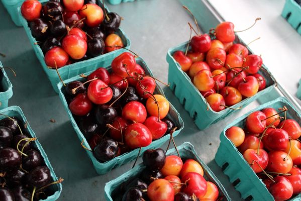 Larsen Lake Blueberry Farm by null