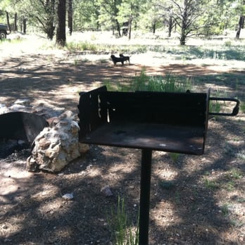 Ten-X Campground - Grill, fire pit, wiener dogs. - Campgrounds Near Me - Tusayan, Arizona