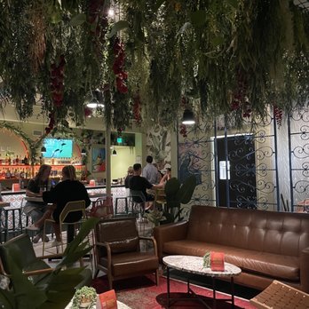 Mister Oso - Latin American Near Me - Denver, Colorado