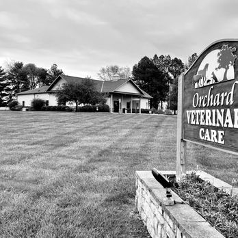 Orchard Veterinary Care - Veterinarians Near Me - Wilmington, Ohio Orchard Veterinary Care - Veterinarians Near Me - Wilmington, Ohio