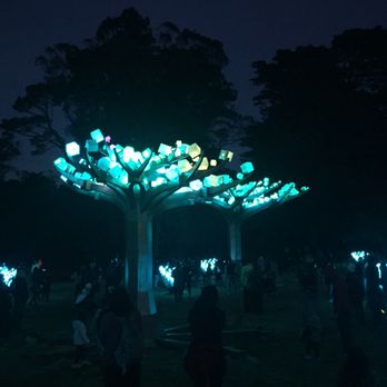 Entwined Lighted Forest - Public Art Near Me - San Francisco, California Entwined Lighted Forest - Public Art Near Me - San Francisco, California