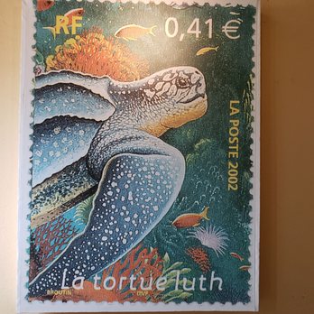 The Turtle Restaurant - Tortue Luth French stamp - Comfort Food Near Me - Brownwood, Texas
