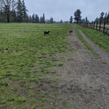 Fort Steilacoom Park - Dog Parks Near Me - Lakewood, Washington Fort Steilacoom Park - Dog Parks Near Me - Lakewood, Washington
