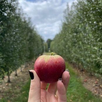 The Orchard At Doc Waters Cidery - a hand holding an apple - Cideries Near Me - Germantown, Maryland