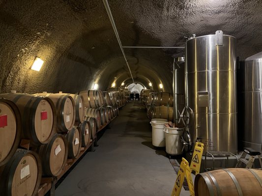 Archery Summit by null