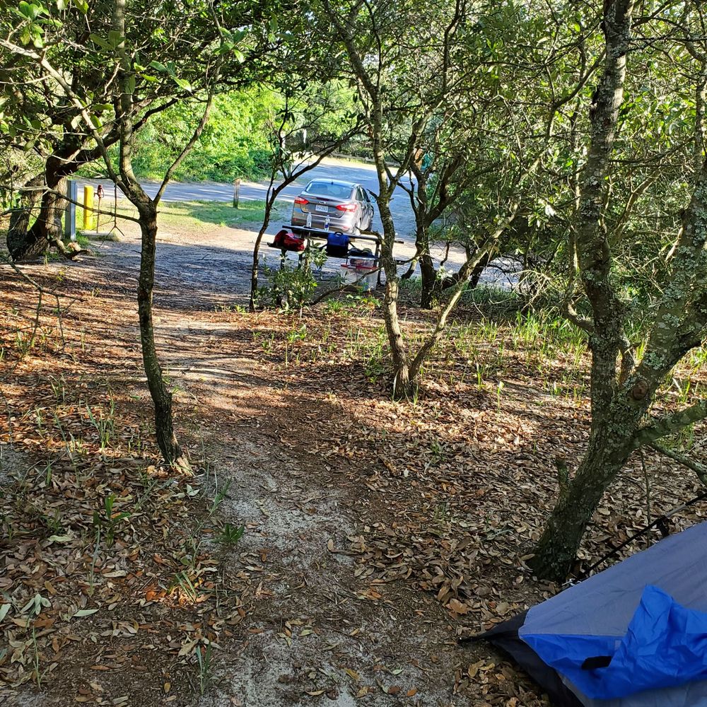 First Landing State Park - I set up on the side of my path that leads to the beach. Super comfy with the pine needle floor. - Parks Near Me - Virginia Beach, Virginia First Landing State Park - I set up on the side of my path that leads to the beach. Super comfy with the pine needle floor. - Parks Near Me - Virginia Beach, Virginia