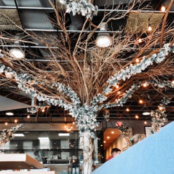 Over Easy Kitchen - a tree with branches and lights - Salad Near Me - Holmdel, New Jersey Over Easy Kitchen - a tree with branches and lights - Salad Near Me - Holmdel, New Jersey