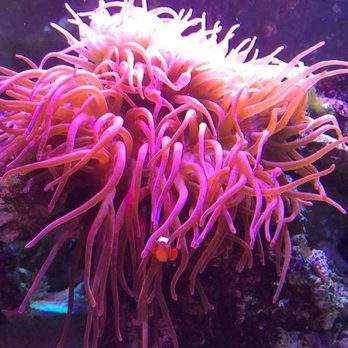 Aqua Mart - Local Fish Stores Near Me - Cocoa, Florida