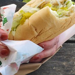 Turkey Sub
