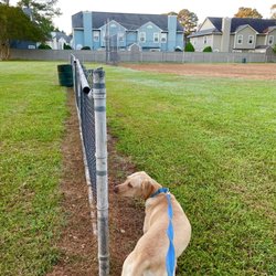 London Bridge Park - Baseball field