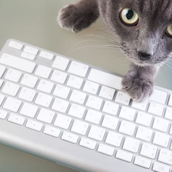Herding Cats Concierge - Personal Assistants Near Me Herding Cats Concierge - Personal Assistants Near Me