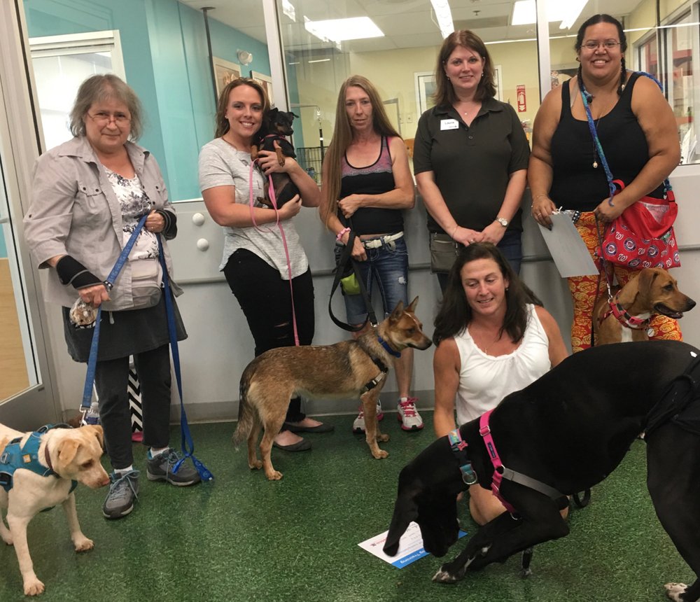 PETCO 217 Oak Lee Dr, Ranson, West Virginia Pet Training Phone