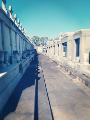 St Vincent De Paul Cemetery by null