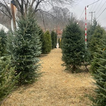Clark's Farm - Nurseries & Gardening Near Me - Stafford, Virginia Clark's Farm - Nurseries & Gardening Near Me - Stafford, Virginia