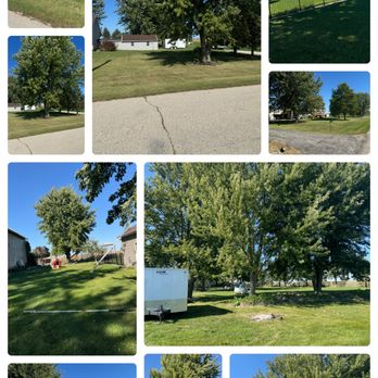 T’s Tree Service - Tree Services Near Me - Beloit, Wisconsin T’s Tree Service - Tree Services Near Me - Beloit, Wisconsin