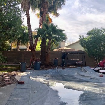 Montoya's Landscaping - They transformed these palms! - Landscaping Near Me