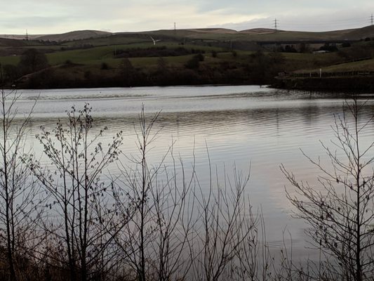 Hollingworth Lake by null