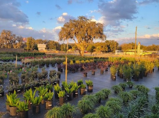 Spirit Lake Garden Center, 5123 Spirit Lake Rd, Winter Haven, FL
