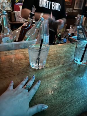 The Sandpiper Lounge by null