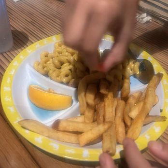 Rainforest Cafe - Macaroni and cheese kids meal - American Near Me - Lake Buena Vista, Florida Rainforest Cafe - Macaroni and cheese kids meal - American Near Me - Lake Buena Vista, Florida