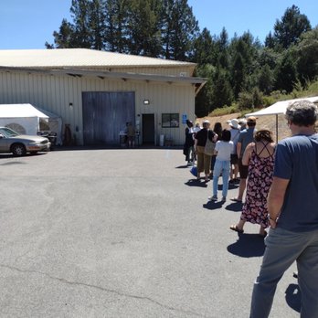Gourmet Mushrooms - The lineup at 1pm - Fruits & Veggies Near Me - Sebastopol, California Gourmet Mushrooms - The lineup at 1pm - Fruits & Veggies Near Me - Sebastopol, California