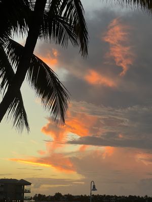 Hyatt Centric Key West Resort & Spa by null