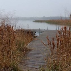 Lost Pines Scout Reservation - Old waterfront during Winter Camp 2016.