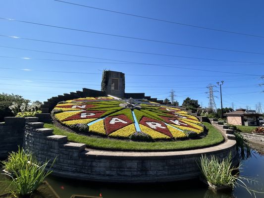 Floral Clock by null