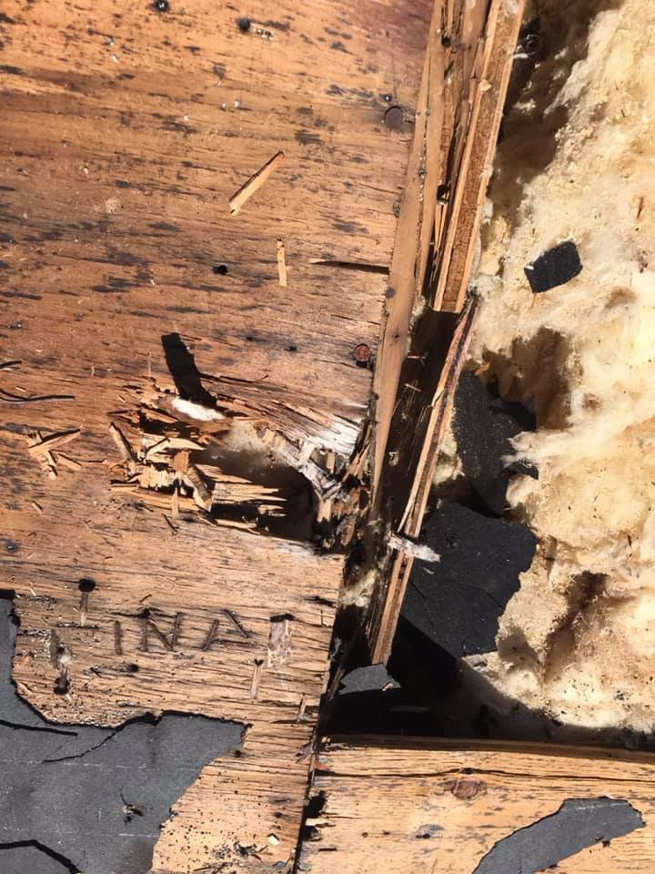 Slide of Wild Roofing