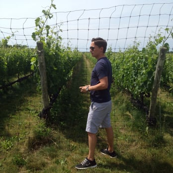 Mattebella Vineyards - Peter D among the vines - Wineries Near Me - Southold, New York Mattebella Vineyards - Peter D among the vines - Wineries Near Me - Southold, New York