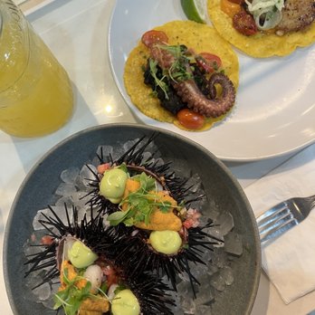 Holbox - Uni & Scallop, Taco De Pulpo En Su Tinta, Scallop Taco - Latin American Near Me - Los Angeles, California
