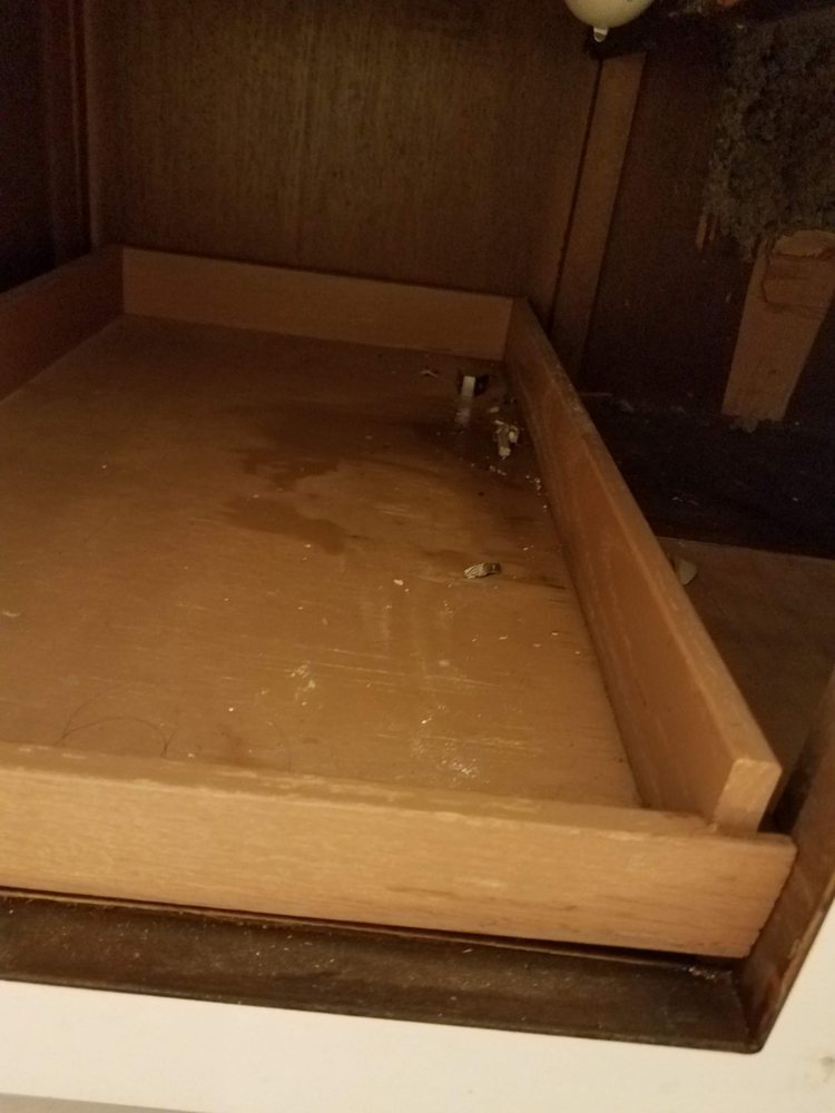 Slide of Roto-Rooter Plumbing & Water Cleanup