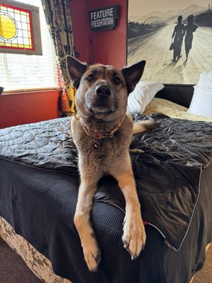 Sandy Cove Inn and Red Door Vacation Rentals by null