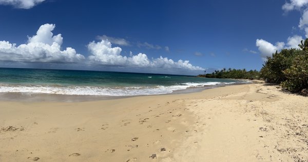 El Gallito ( Gringo Beach ) by null