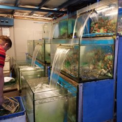 Ocean Bay - Tanks with fresh seafood