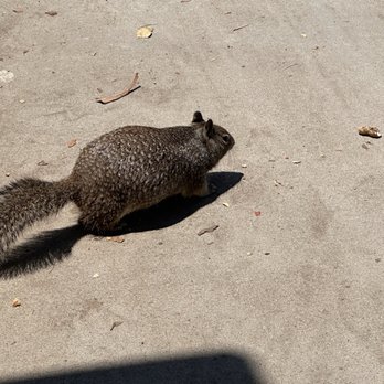 Point Fermin Park - Parks Near Me - San Pedro, California