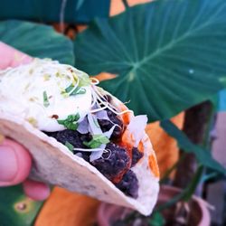 Rabipelao Gracia- Le Rabipelè - Tacos veganos
