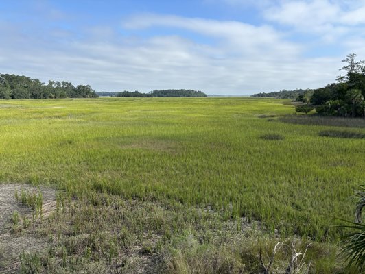 Skidaway Island State Park by null