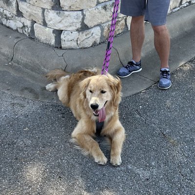 Lakeline Farmers Market