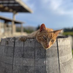 Karlo Estate Winery