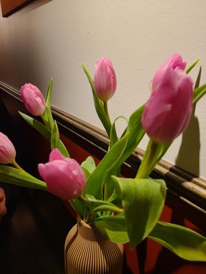 Black Duck Spirits & Hearth by null