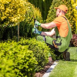 I.C. Garden Services
