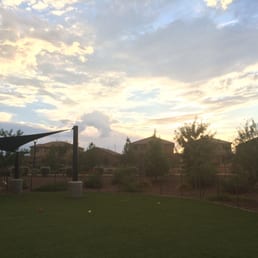Bark Park Bark Park