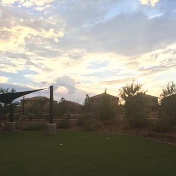 Liv Avenida - Bark Park - Apartments Near Me - Chandler, Arizona Liv Avenida - Bark Park - Apartments Near Me - Chandler, Arizona