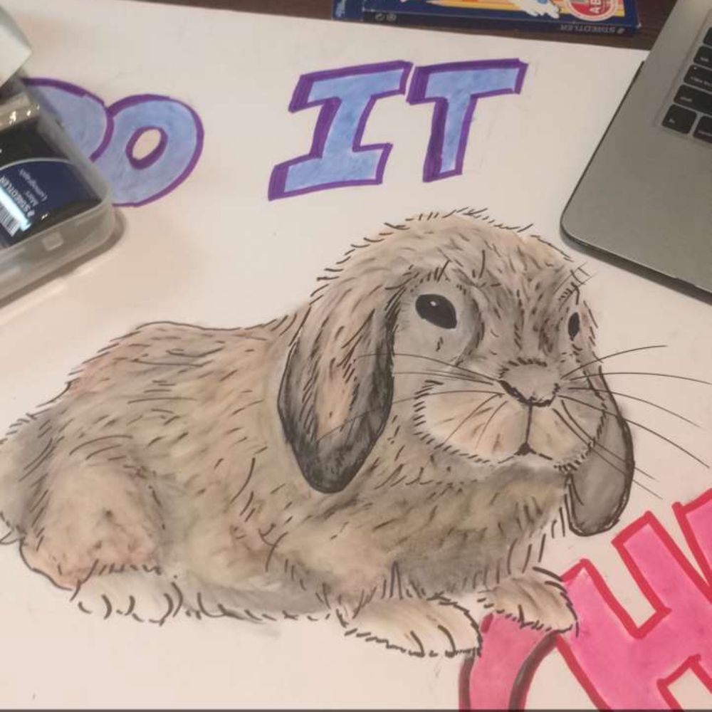 One Stop Lop - Close up of the Poster - Pet Adoption Near Me One Stop Lop - Close up of the Poster - Pet Adoption Near Me