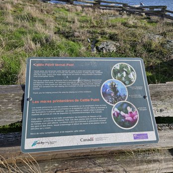 Cattle Point Urban Star Park - Vernal pools sign - Parks Near Me - Victoria, British Columbia Cattle Point Urban Star Park - Vernal pools sign - Parks Near Me - Victoria, British Columbia